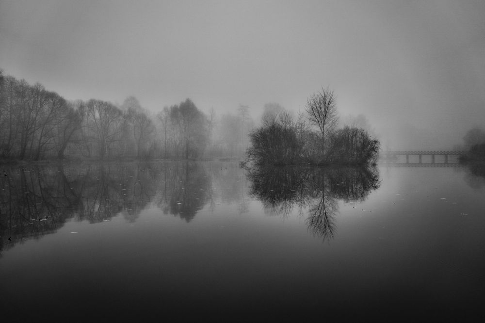 Photograph by Алексей Шевченко