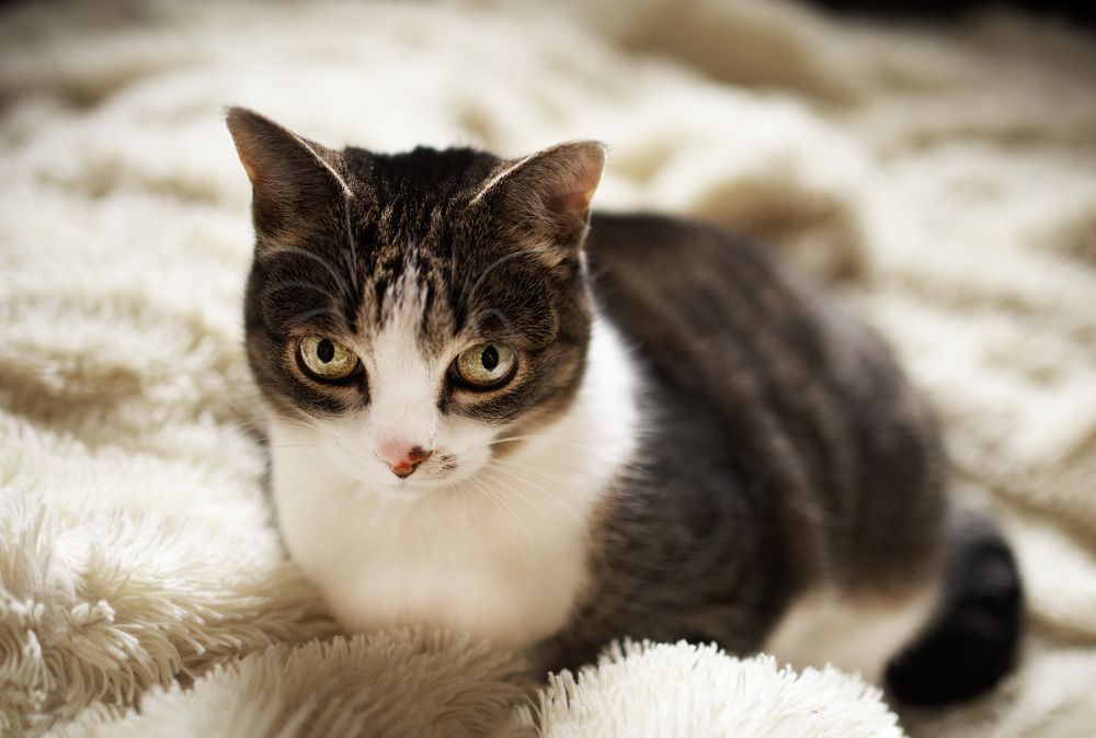 Photograph by Kirill Yakowlew