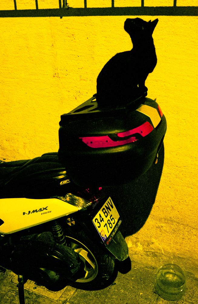 Photograph by Дмитрий