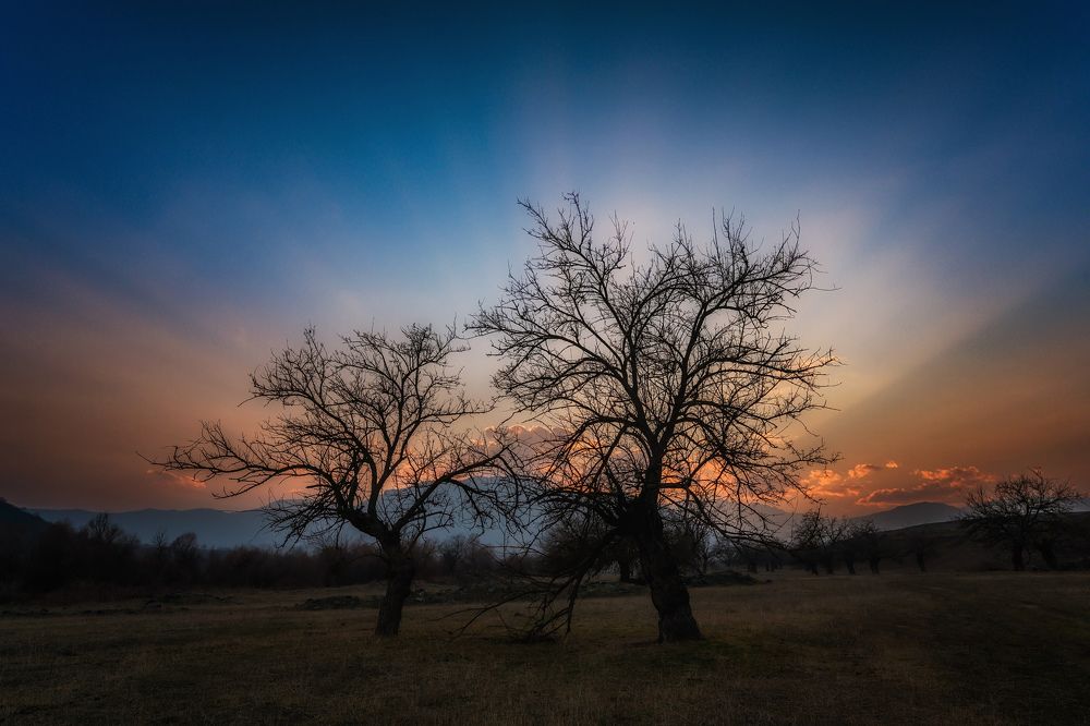Фотография автора Асрян Севак