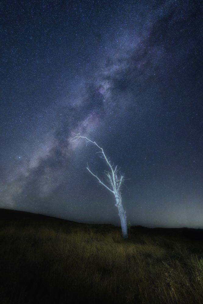 Фотография автора Асрян Севак