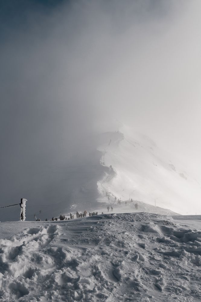 Photograph by Никита Суровешкин