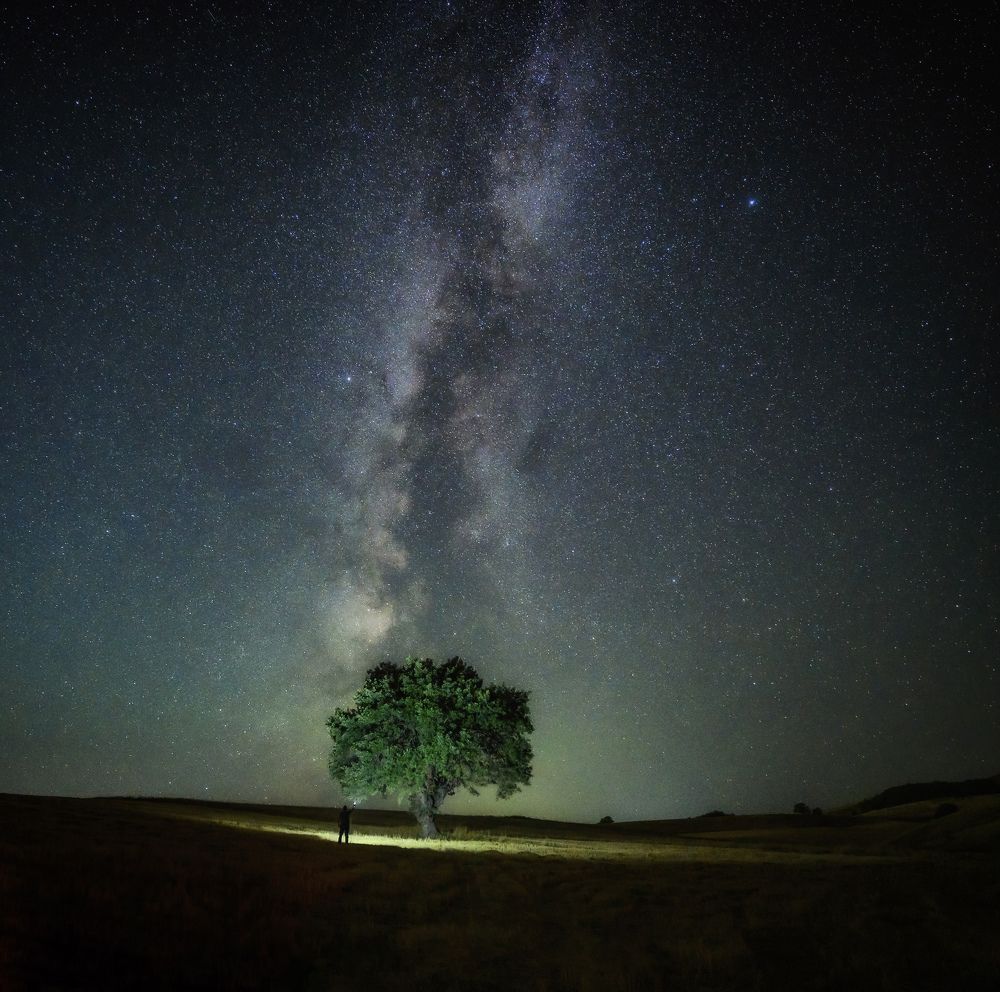 Фотография автора Асрян Севак