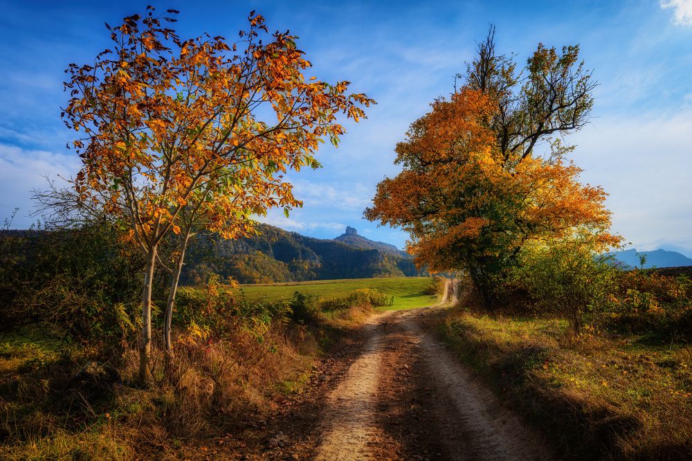 Фотография автора Асрян Севак