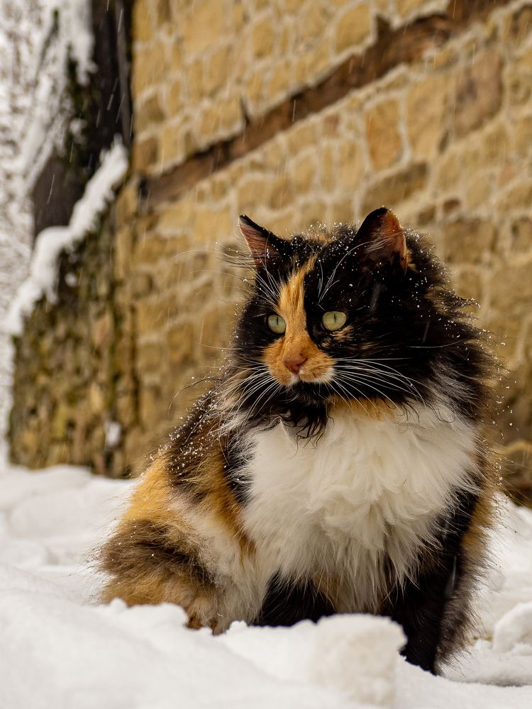 Photograph by Слави Котаров