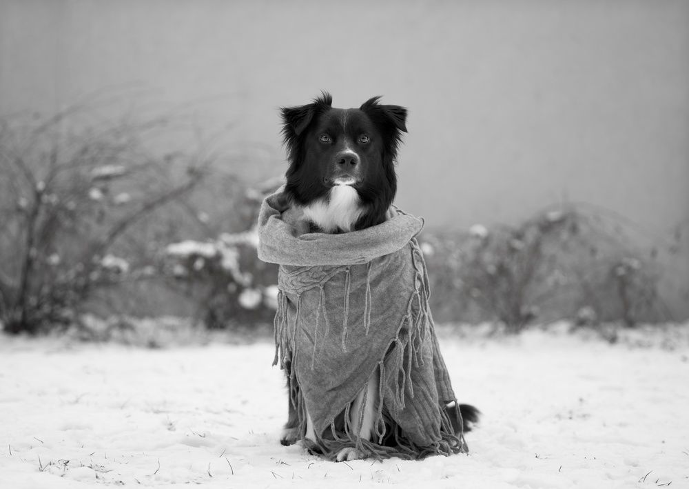 Photograph by Monika Maciejewska