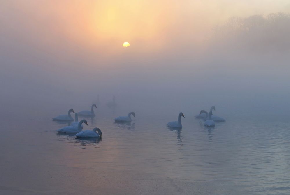 Photograph by Наталья Турчик