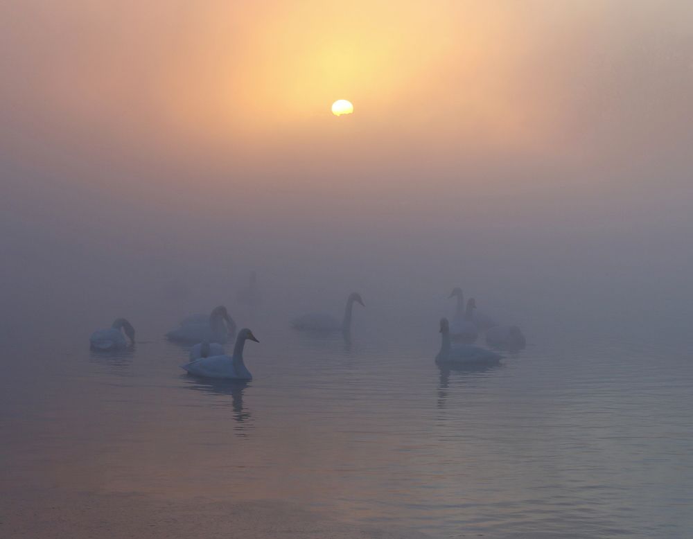 Photograph by Наталья Турчик