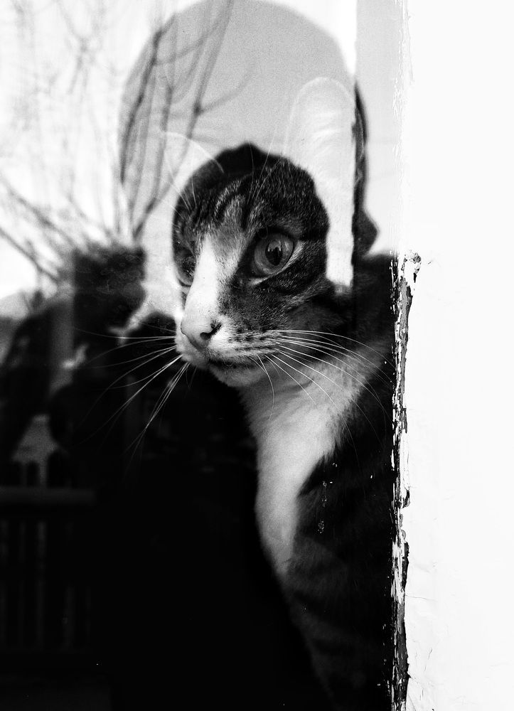 Photograph by Наталья Сидорова