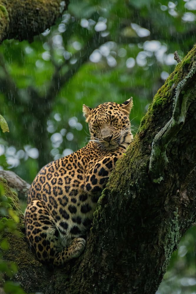 Photograph by Anandhu M