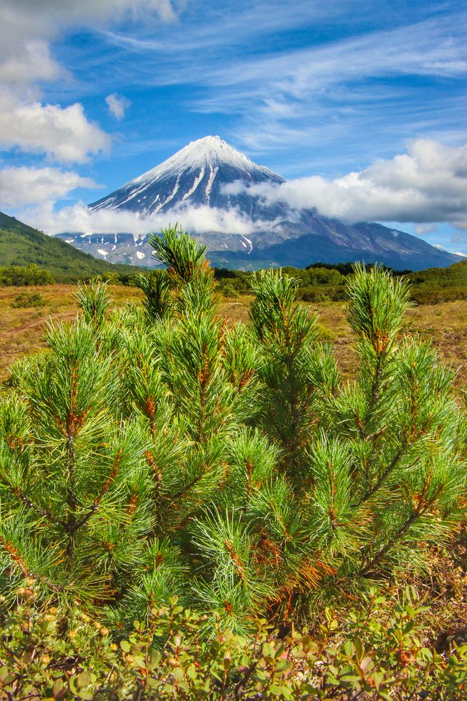 Photograph by Александр Суров