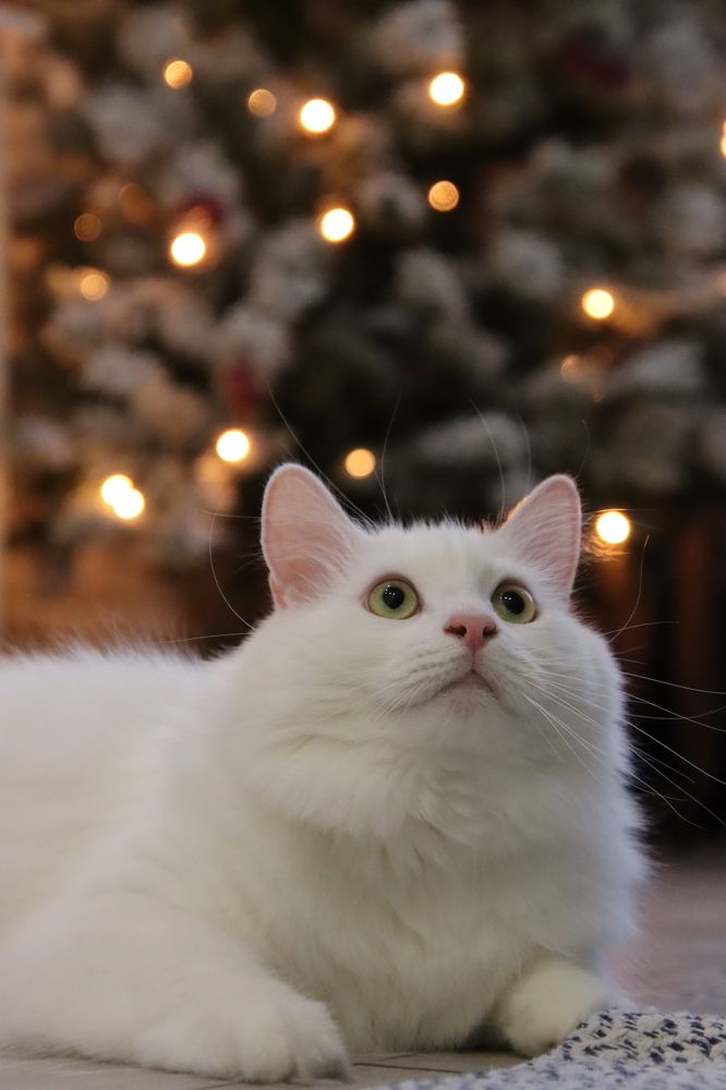 Photograph by Александр Суров