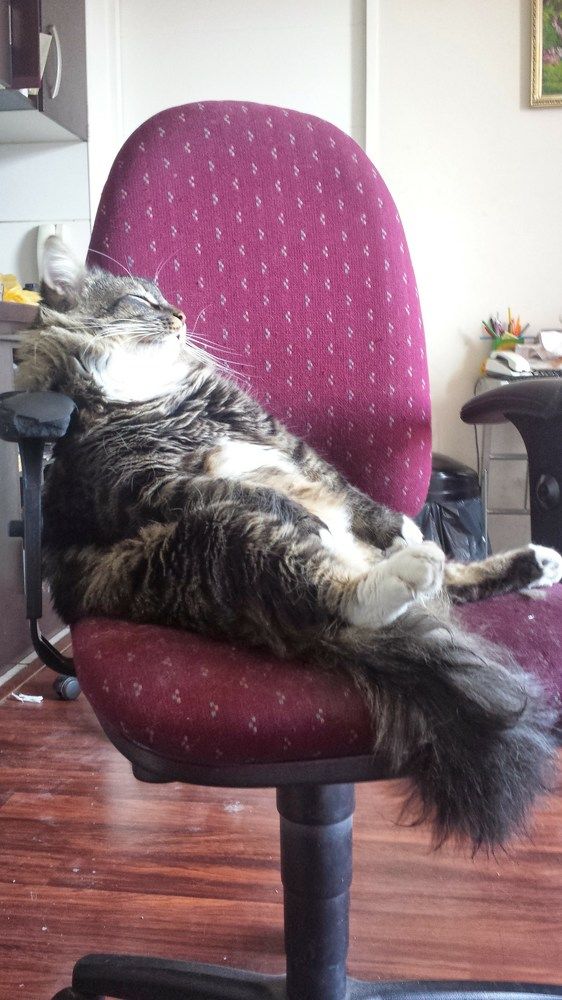 Martin tomando el sol sentado