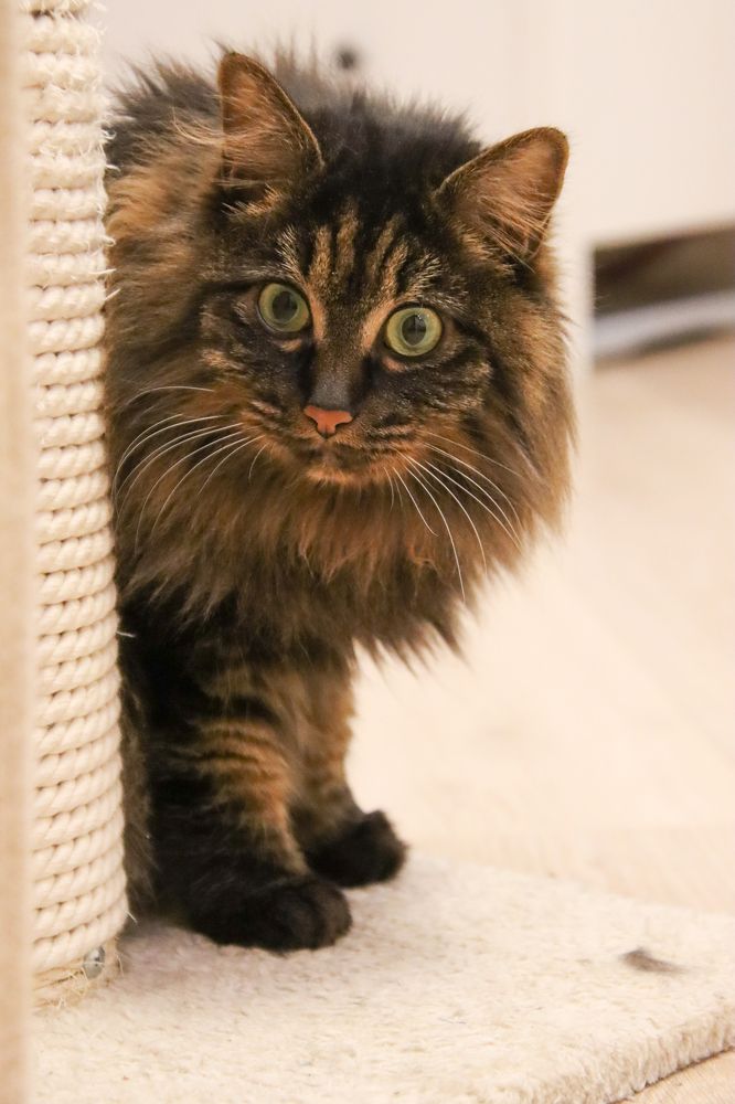 Photograph by Александр Суров