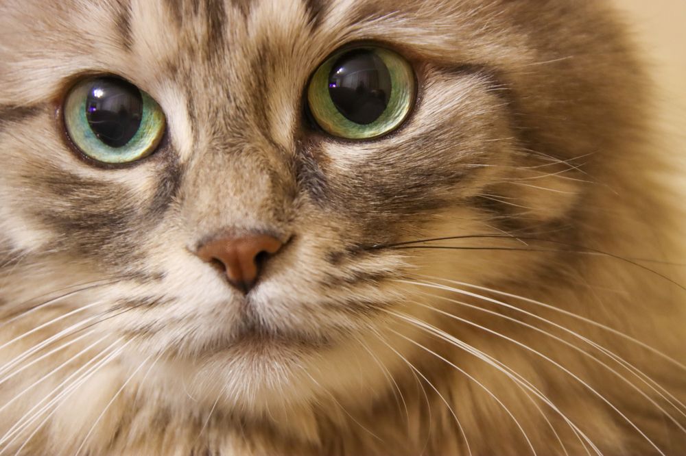 Photograph by Александр Суров