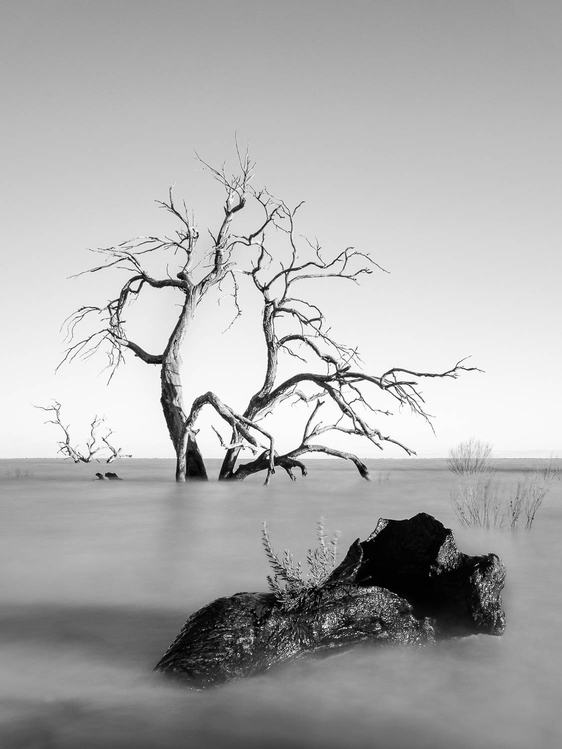 Фотография #8808275