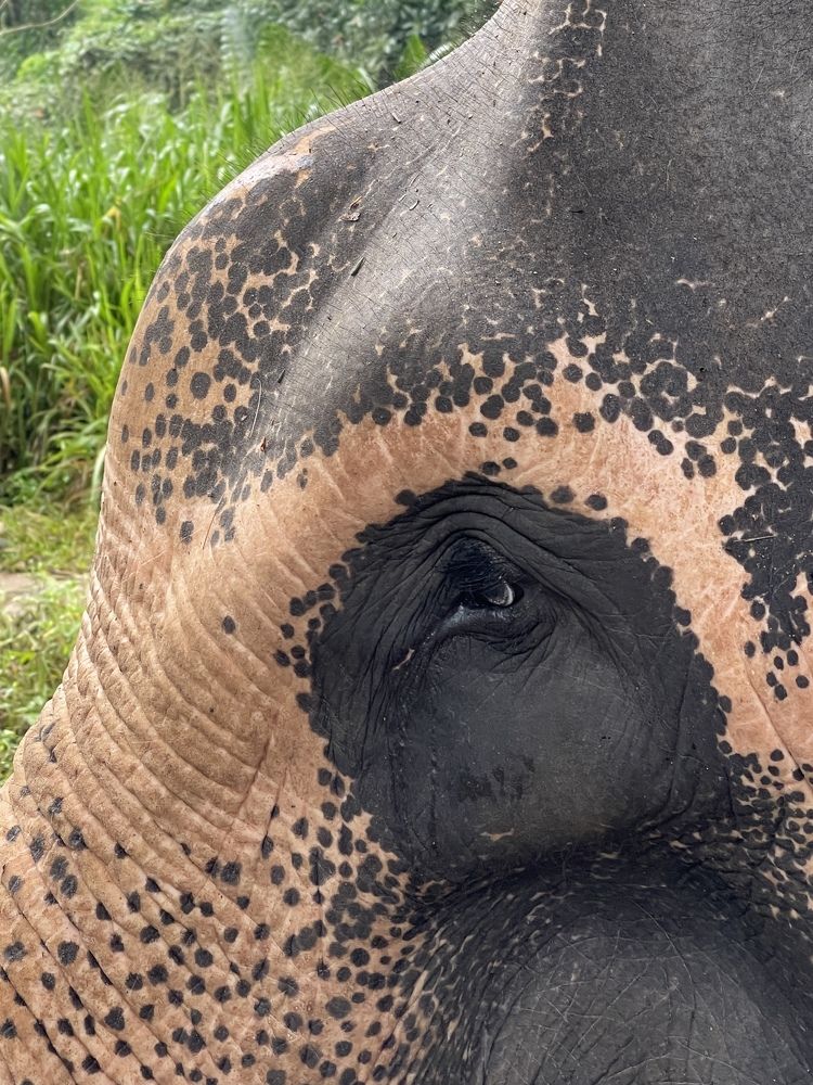 Photograph by Ольга Тимофеева