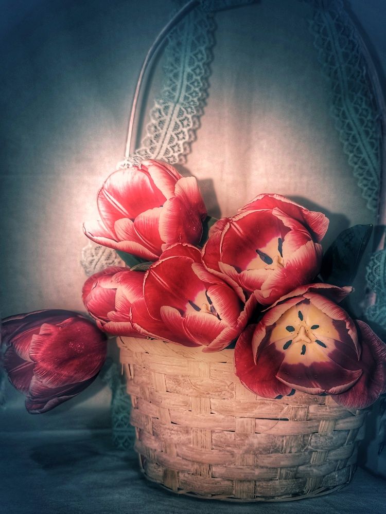 Photograph by Александра