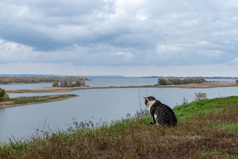 Photograph by Андрей Шишлов