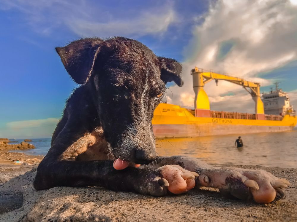 Photograph by Shekina Mie Miguel