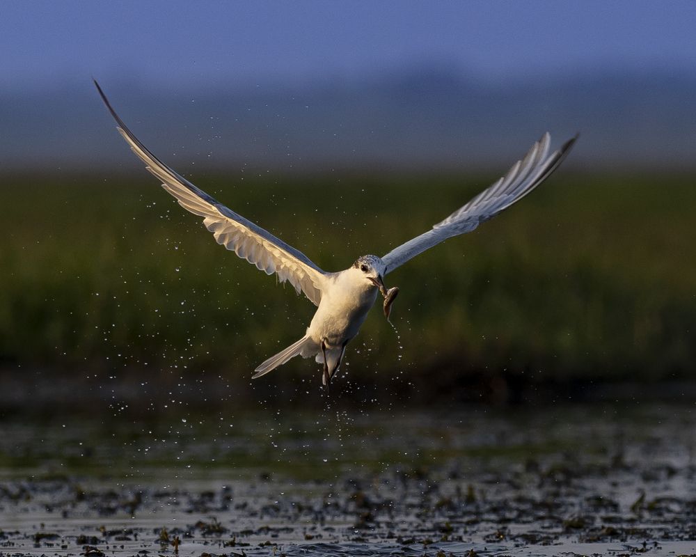 Photograph by ASHWINI BHONGE