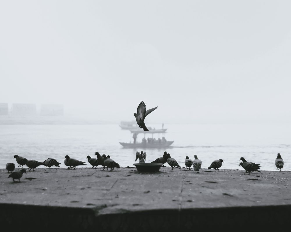 Photograph by Sharmita Ghosh