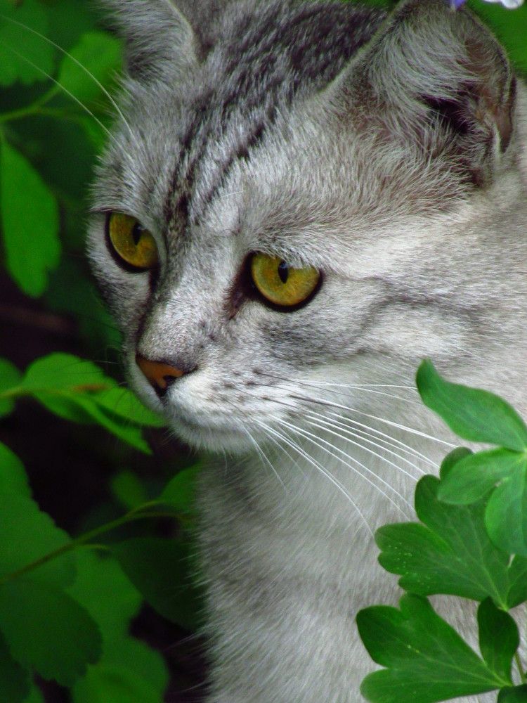 Photograph by Лысых Галина