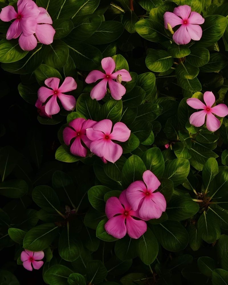 Photograph by Syed Jennifer