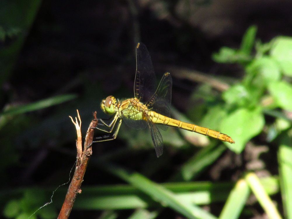 Photograph by Лысых Галина