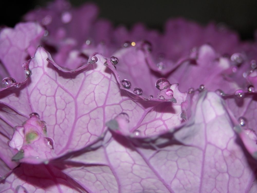 Photograph by Георгий Салюков