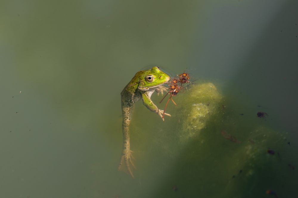 Photograph by Khayal Kazimli