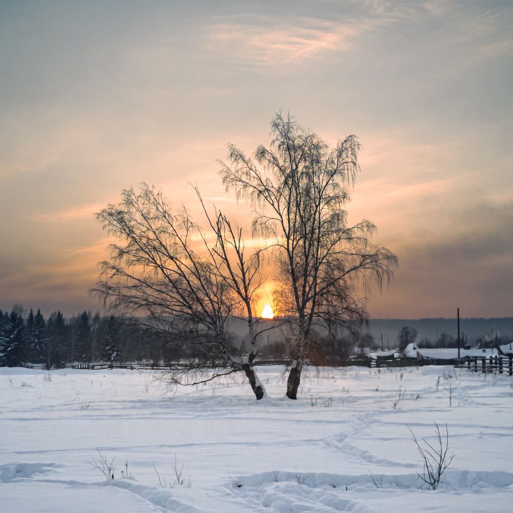Фотография автора Логвинович Андрей