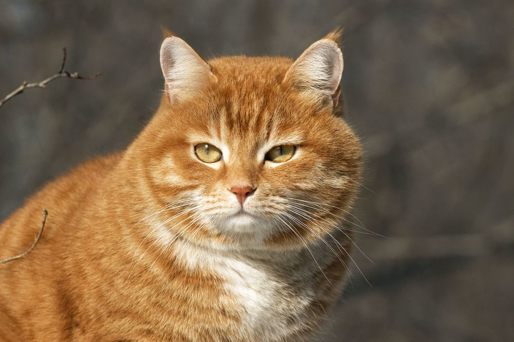 Photograph by Анастасия Горян