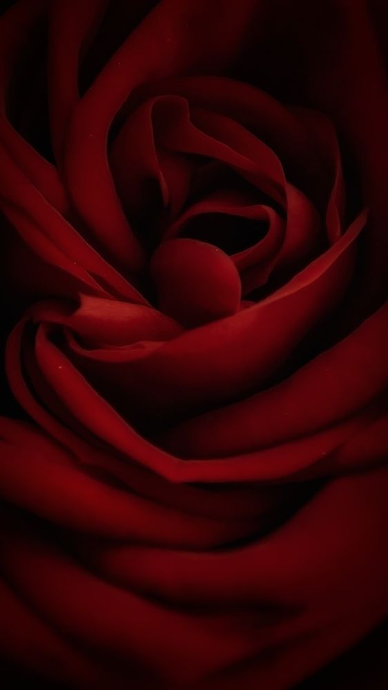 Фотография автора Анастасия Мамаева