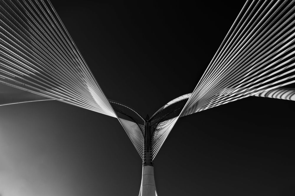 Photograph by Chua Bing Guan