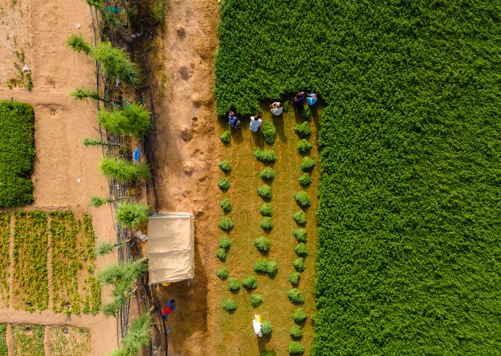 Photograph by Zubair Irshad