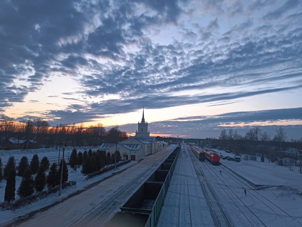 Photo #8808918