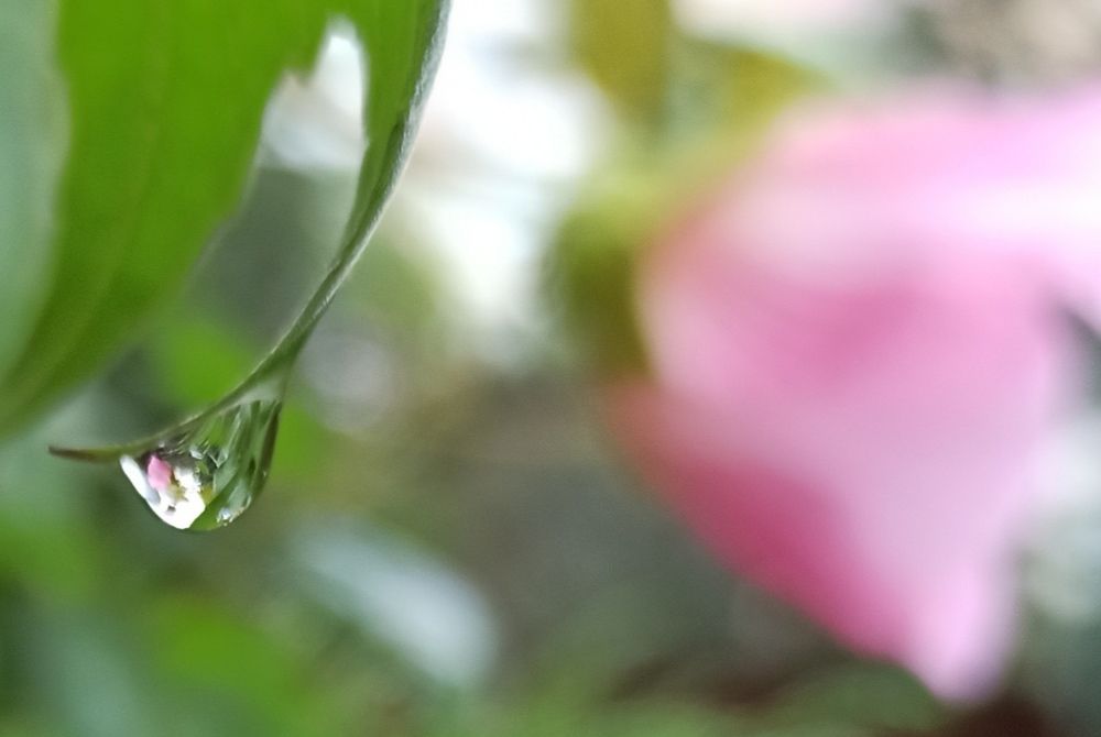 Photograph by Ольга Тихонова