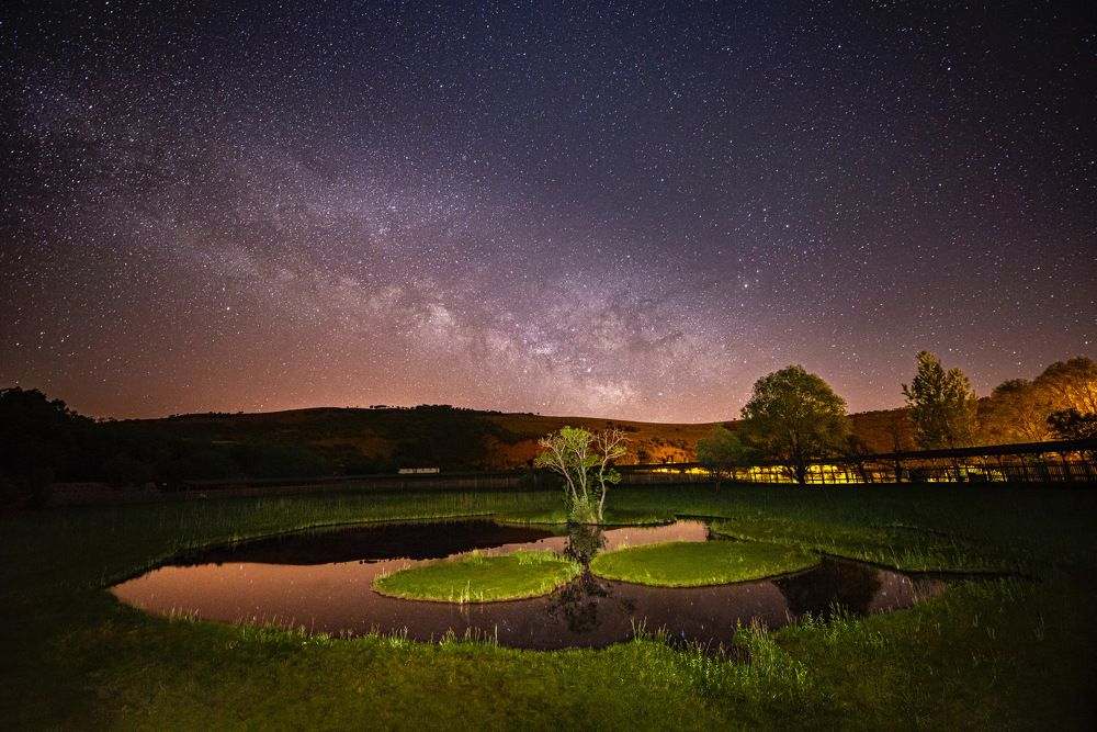 Photograph by ENGİN AYYİLDİZ