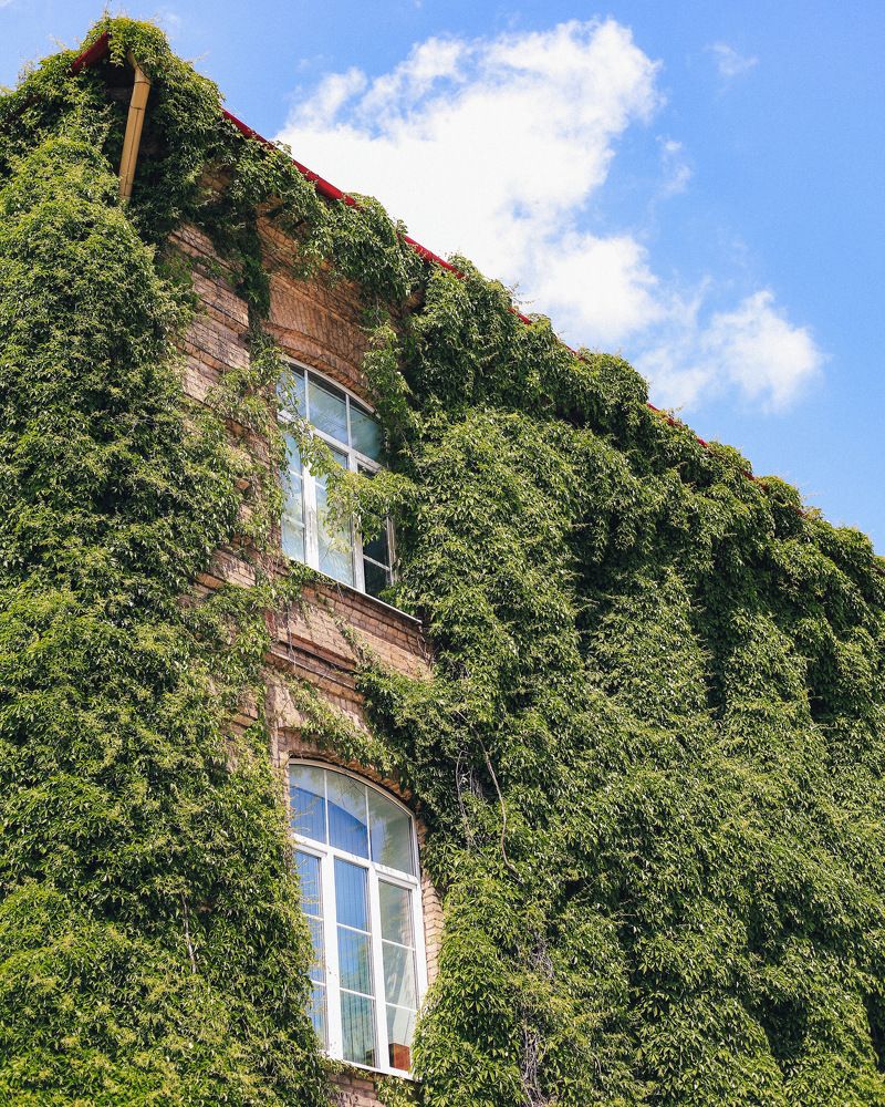 Photograph by Игорь Наливкин