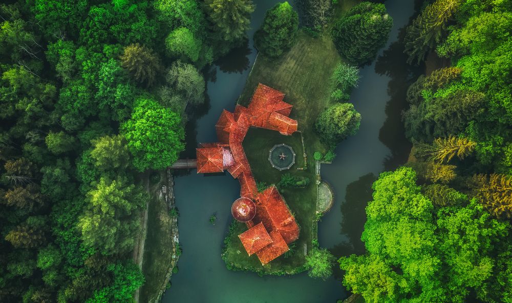 Photograph by Guy Krier