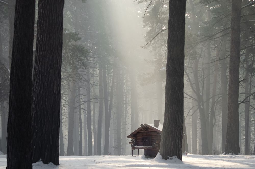 Photograph by Юрий