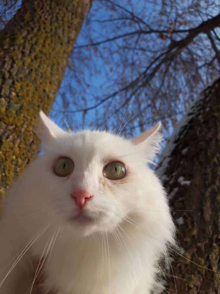 Photograph by Tatyana Busorgina