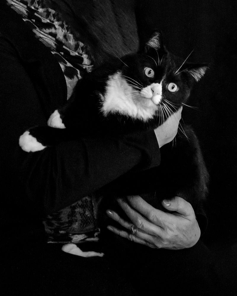 Нюша на руках у хозяйки