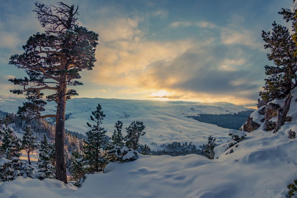 Photograph by Anatoly