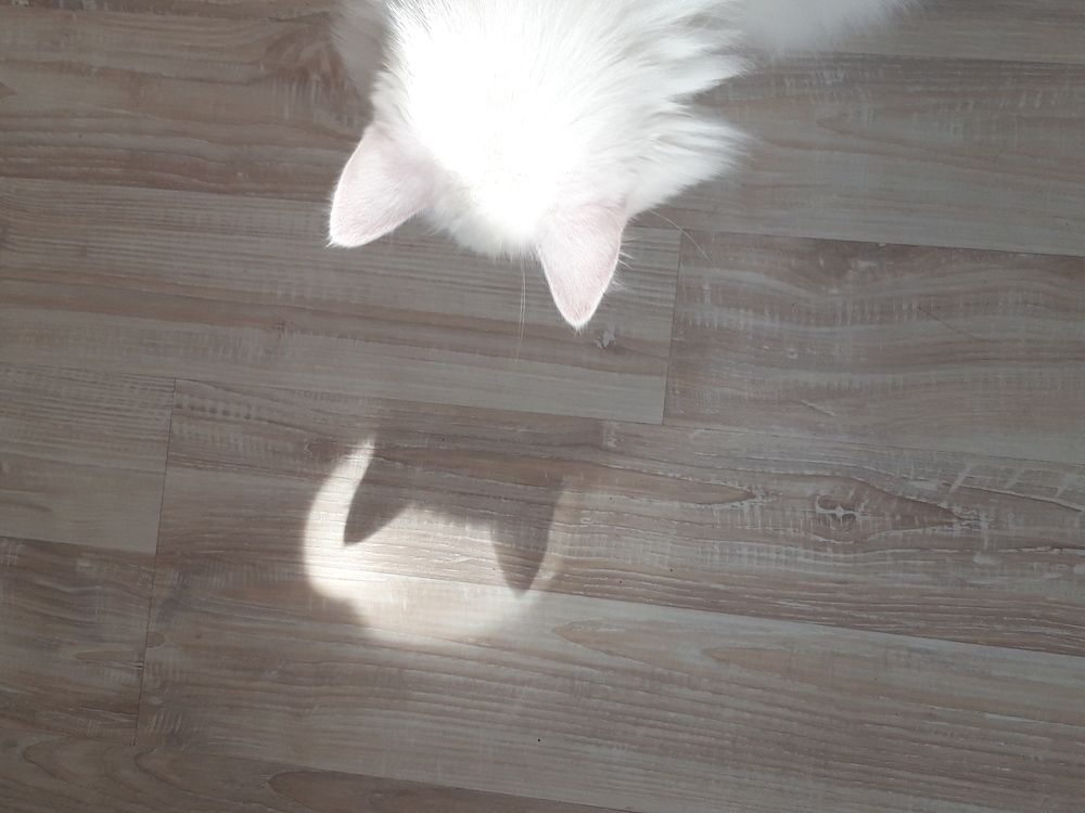 Photograph by Tatyana Busorgina