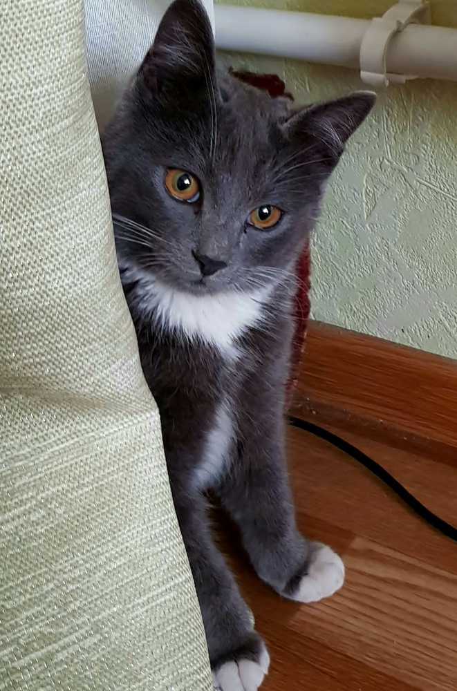 Photograph by Елена Мизина