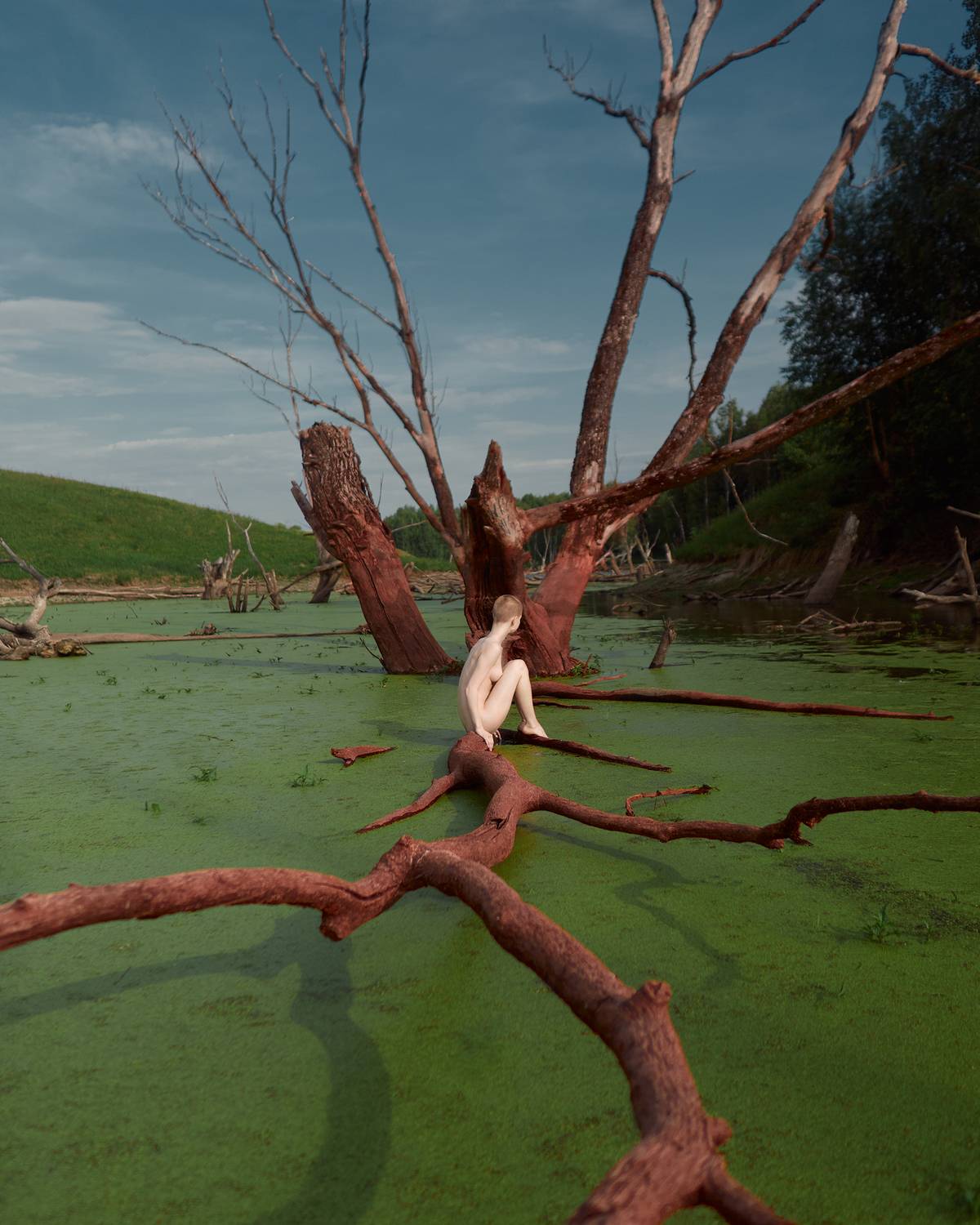 Фотография #8809182