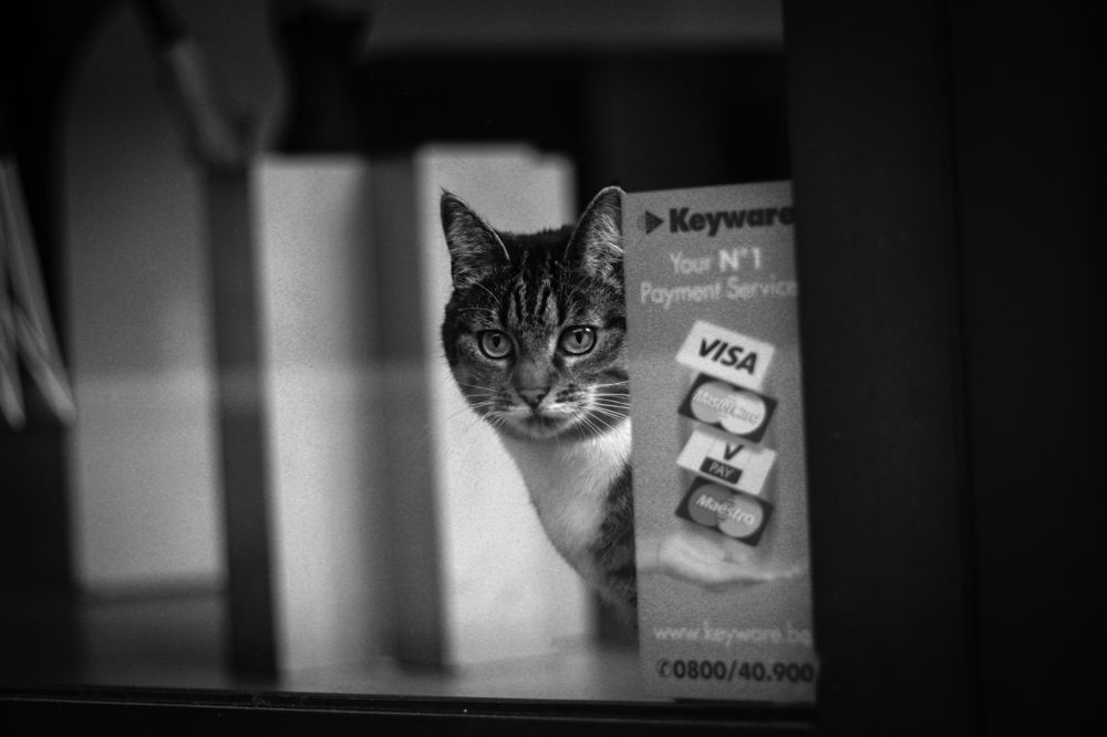 Photograph by Kutsenko Maryna