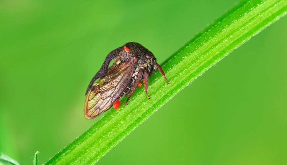 Photograph by Александр Молотков